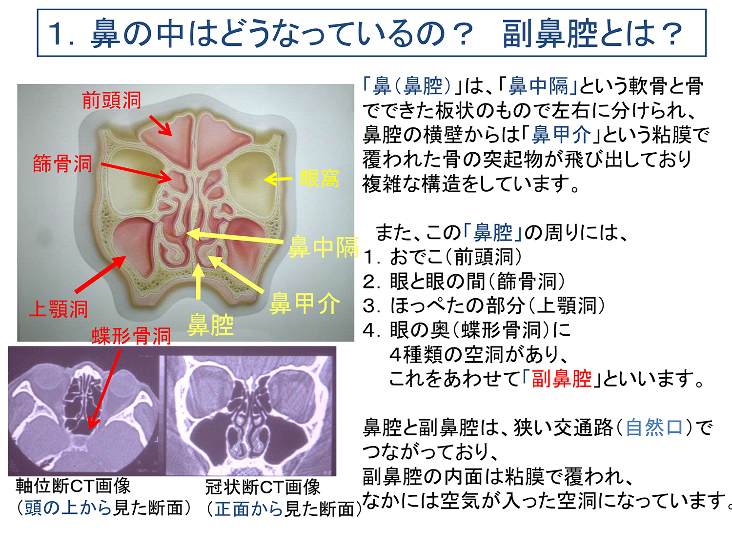 リンクはありますか?