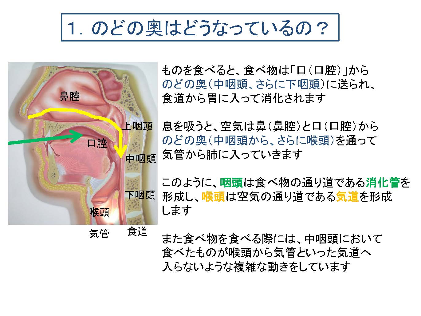 喉 の つかえ